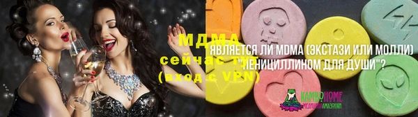 мет Алексин