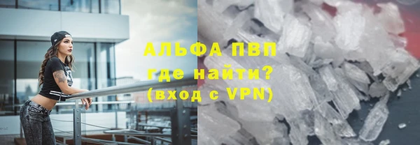 мет Алексин