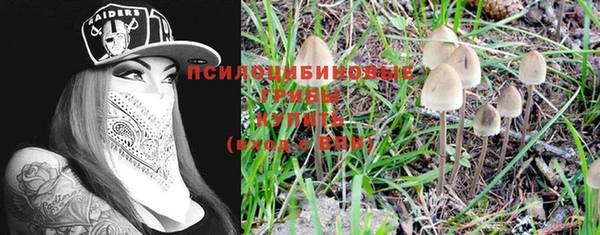 ПСИЛОЦИБИНОВЫЕ ГРИБЫ Абдулино