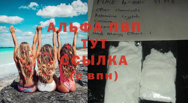 прущие крисы Абаза