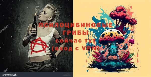 дурь Алексеевка