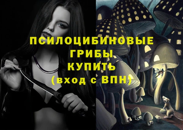 прущие крисы Абаза