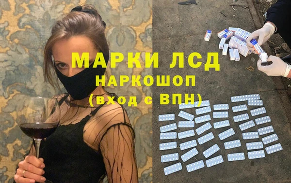 apvp Алзамай
