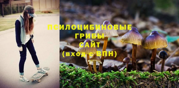 мет Алексин